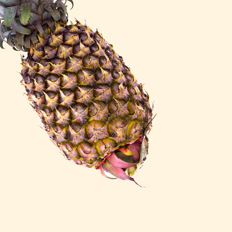 13 foodsto-image